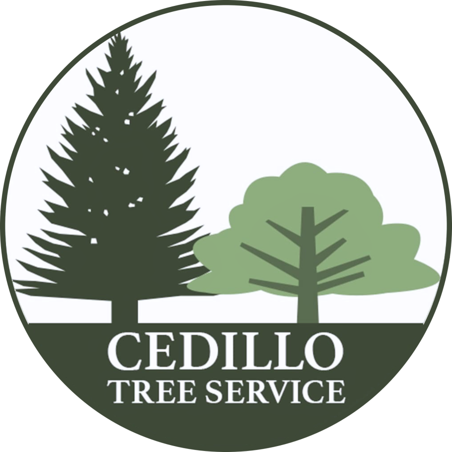 Cedillo Tree Service